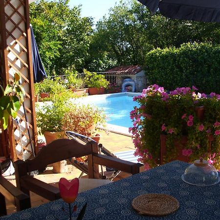 دوينو B&B Pane & Tulipani المظهر الخارجي الصورة